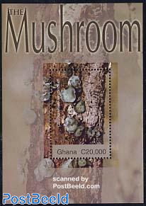 Mushroom s/s, Chlorosplenium