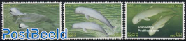 Dolphins & whales 3v