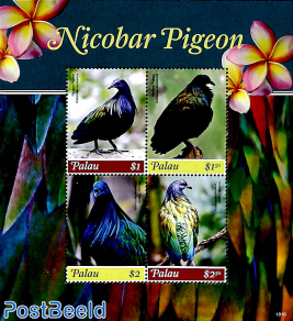Nicobar Pigeon 4v m/s