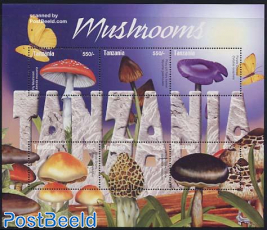 Mushrooms 6v, Fly mushroom
